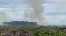 100 hectares of forest area in West Sumatra Indonesia caught fire
