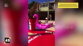 Amazing Trick Shot Moments