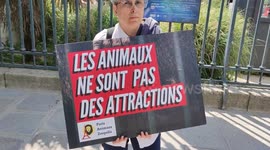 On the occasion of the Nature Festival at the National Museum of Natural History: PAZ calls to demonstrate to demand: - the closure of the Ménagerie, the Jardin des Plantes zoo - placement of animals in suitable shelters - its transformation into a real e
