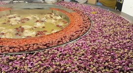 Making Gourmet Rose Dove Soup in Xinjiang, China