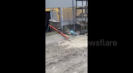 Cleaning Day for People in Cesena, Italy