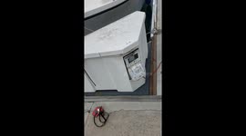 Sea Lion Leaves Mess on Boat