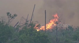 100 Hectares of Forest Fire on the South Coast of West Sumatra, Indonesia