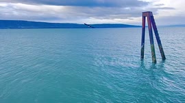 Alaskan Bald Eagle Catches Dinner in Homer, Alaska