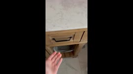 Kittens Sleep Together in Bathroom Drawer