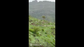 Views of Nature in rural areas in Yemen top of the mountains in the city of ibb