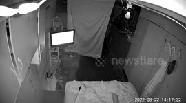 Ghostly spirits captured on security camera in my basement.