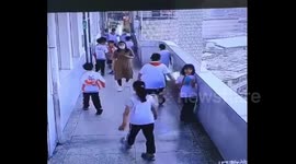 Teacher dismissed after dragging and kicking student in southeastern China