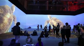 Vivid Sydney 2023, Australia