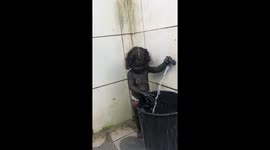 Baby girl finally finds the answer to 'How much coal is too much coal?'