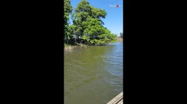 Son enjoys fishing with dad on boat *wholesome father & son moment*