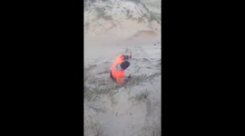 How to get down from the sand dunes with Hammer and Tommy!