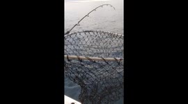 How not to use a landing net! Epic Fail!