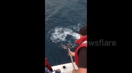 How not to land a fish