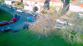 Drone Caught in a tree!