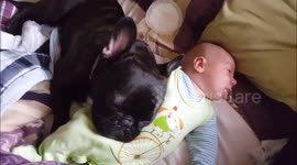 Dog acts as snoring blanket for baby