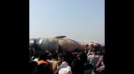 Giant Bryde's whale washes up dead on India beach