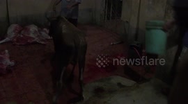 meat processing plant
