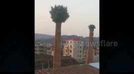 Banyan trees grow out of HUGE chimneys at abandoned Chinese factory