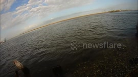 Pelican Trys To Steal My Fish