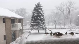 Time-lapse of a snowstorm in New Jersey, USA