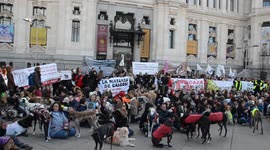 Thousands demonstrated against hunting using dogs at Madrid City Hall