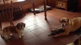 When you really wanna play
