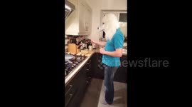 Chef poodle taking over Pancake day