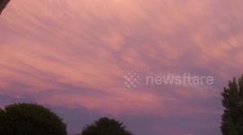 RED MAMMATUS