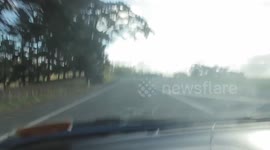 PIZZA BRO! (Strangers give us free pizza on the highway)