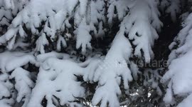 Massive Amounts of Snow Accumulation after Minnesota Blizzard