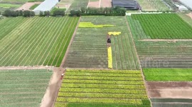 Seedling Planting Base In Qingzhou, China