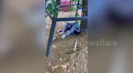 Pet dog makes hilarious wide-eyed expression while being buried in sand