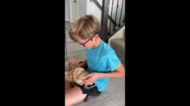 Sweet boy has a gentle reaction to a cute puppy surprise *Wholesome moment*