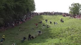 Cheese Rolling 2023: Watch all the tumbles as daredevils chase a wheel of cheese