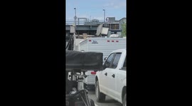 Megasaurus Sighting at BC Ferries Terminal