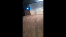 Crazy Colorado Moth Migration