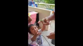 This kid did not step back when touching a leaf insect with his barr hand.