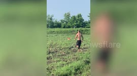 Pet dog steals TV remote and runs off into field