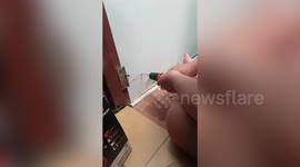 Kind resident drills holes in wall to save trapped kitten