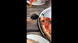 Adorable under-table pizza begging: hilarious canine surprise leaves diners in stitches!