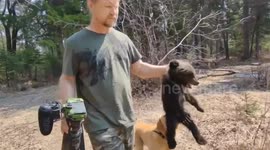 Heroic dog leads owner to orphaned baby bear struggling for survival in Russian forest