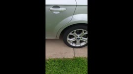 Graceful Dog Gets In The Car