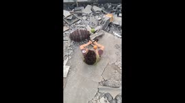 The skill of a Palestinian child throwing lemons in the open air