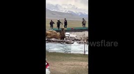 Brave police officers safely drive aggressive brown bear from Chinese herder's yard