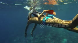 STUNNING video footage what could be the world’s youngest freediver learning his trade without any air supply from the age of TWO.