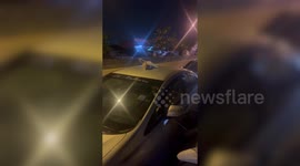 Dozy pet cat sleeps on roof of car parked on roadside