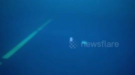 Stunning footage has captured a group of freedivers frozen in time at the bottom of a 20-foot-deep pool without breathing equipment.