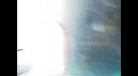 INCREDIBLE action pictures have captured a 2,000-pound Great White shark breaching to catch a seal.