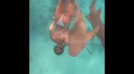 OUCH! 200-pound nurse shark takes bite out of scuba-diver